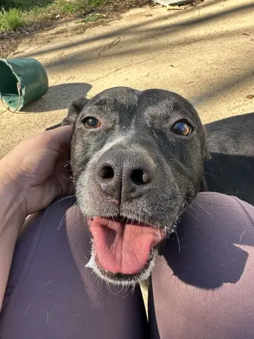 Minnie Mouse thumbnail 2