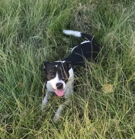 Minnie Mouse thumbnail 4