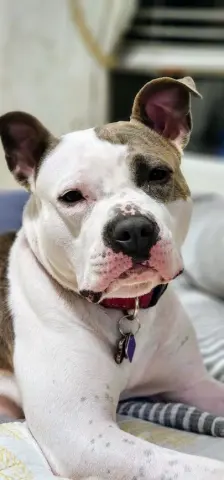 Nova Lucy thumbnail 5