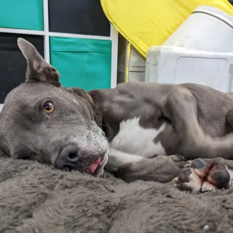 Superman thumbnail 2