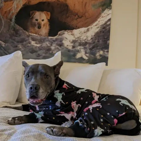 Superman thumbnail 3