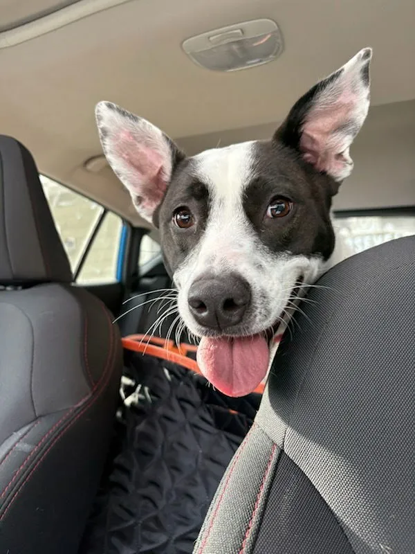 Miss Misty - Photo 2