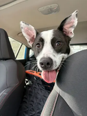 Miss Misty thumbnail 2