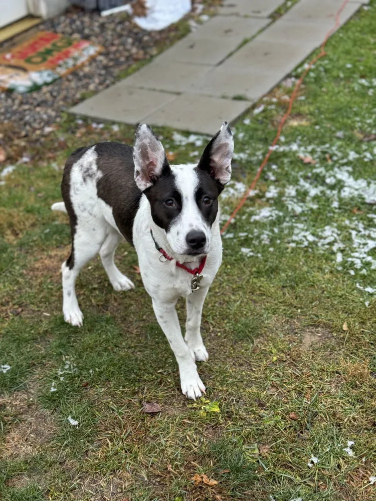 Miss Misty - Photo 3