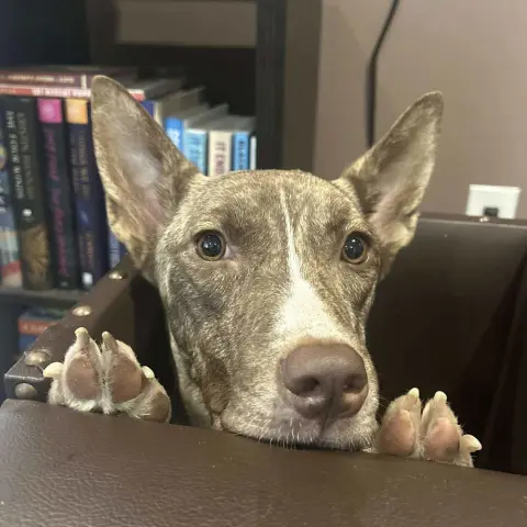 Lily Luz thumbnail 3