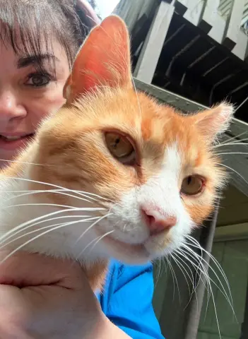 Gum Drop thumbnail 2