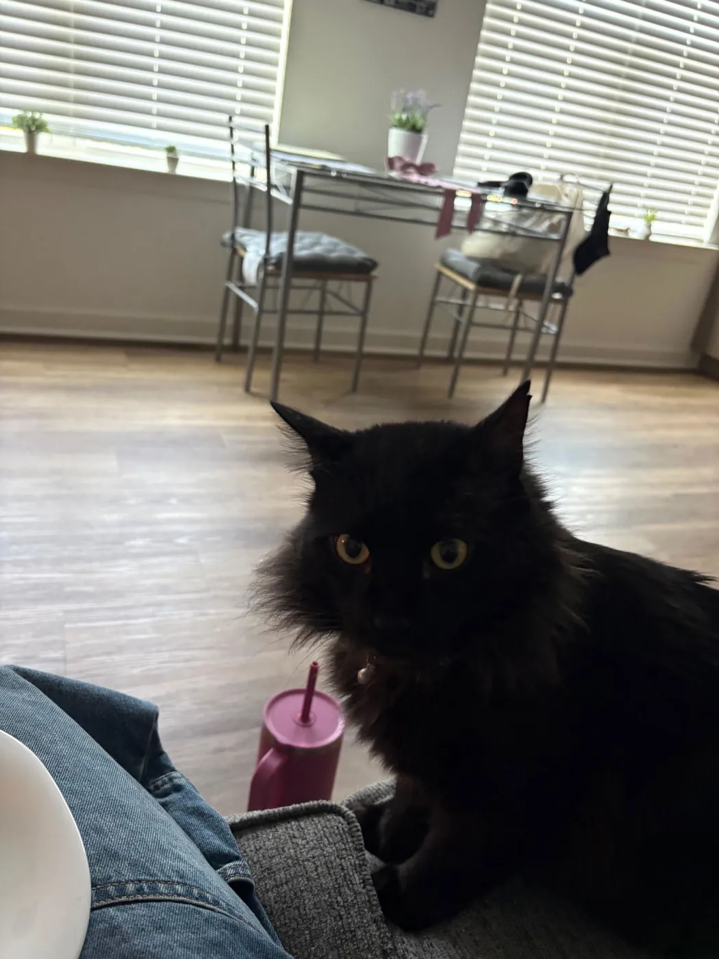 Tommy Albert - Photo 5