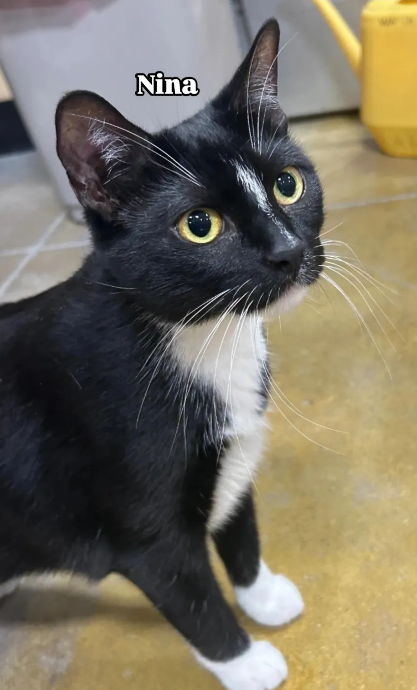 Nina - Photo 3