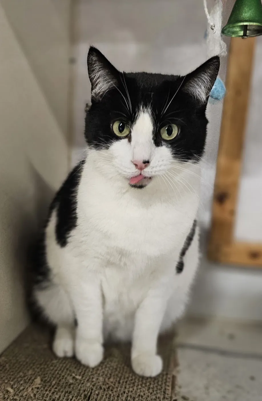 Sophia Marie - Photo 1