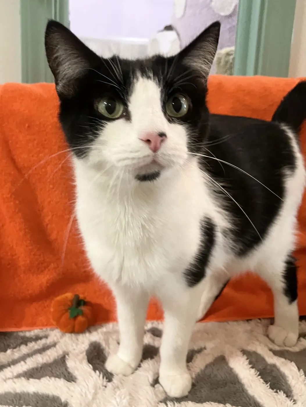 Sophia Marie - Photo 3