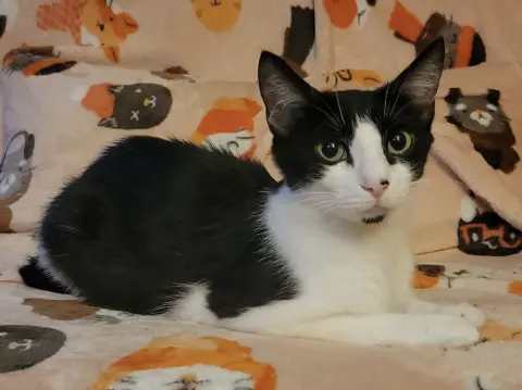 Sophia Marie thumbnail 4