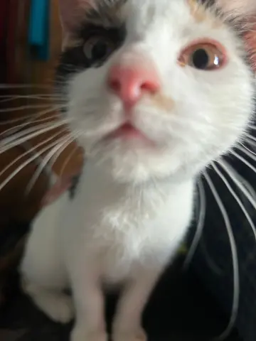 Gabrielle thumbnail 2