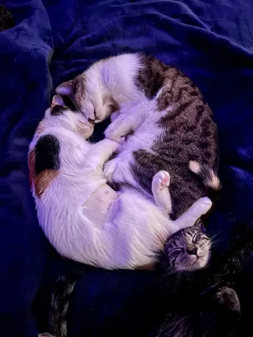 Gabrielle thumbnail 4