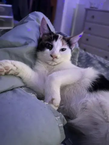 Gabrielle thumbnail 5