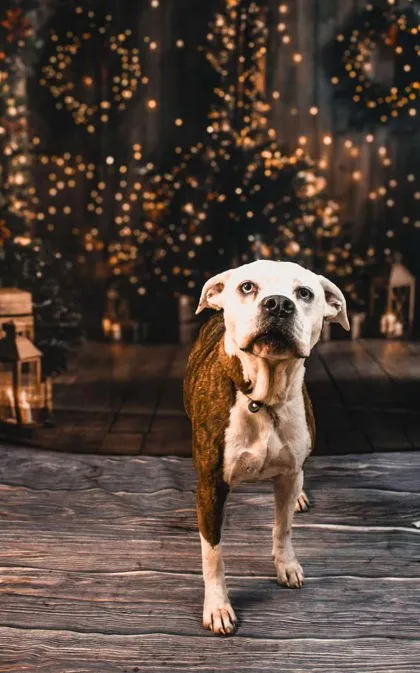 Athena Grace - Photo 1