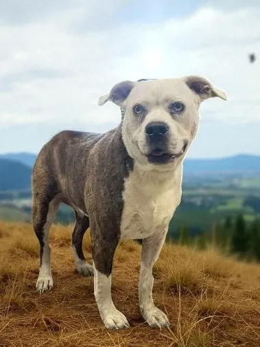 Athena Grace - Photo 2