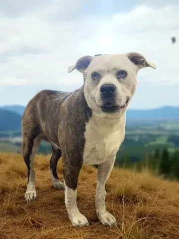 Athena Grace thumbnail 2