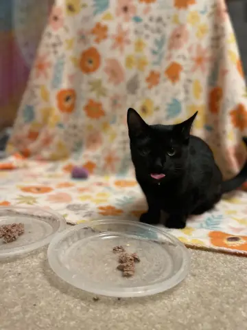 December thumbnail 3