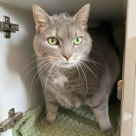 Baby Girl thumbnail 3