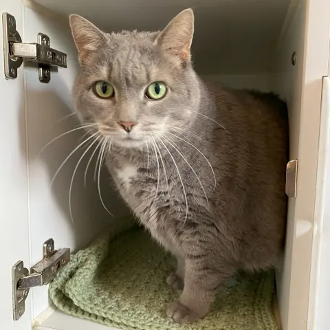 Baby Girl thumbnail 5