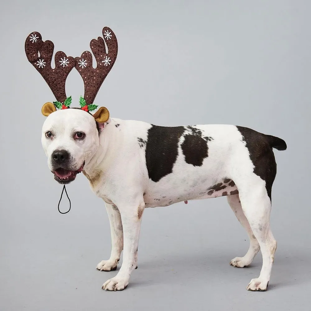 Lilly Claire - Photo 1