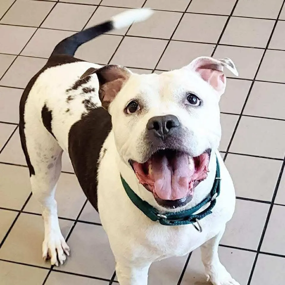 Lilly Claire - Photo 2