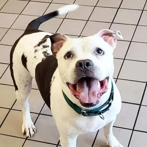 Lilly Claire thumbnail 2