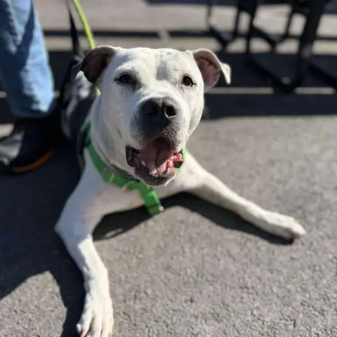 Lilly Claire thumbnail 3