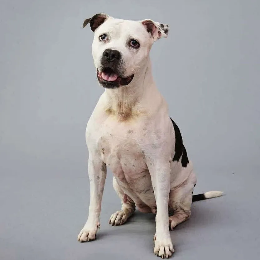 Lilly Claire - Photo 4