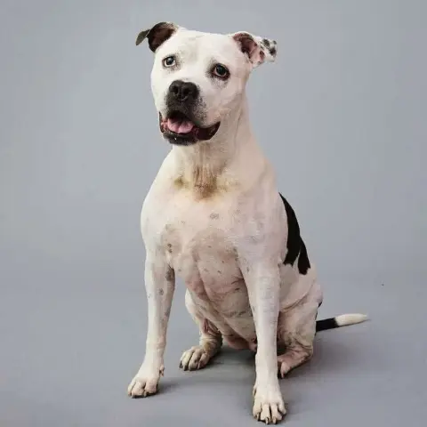 Lilly Claire thumbnail 4