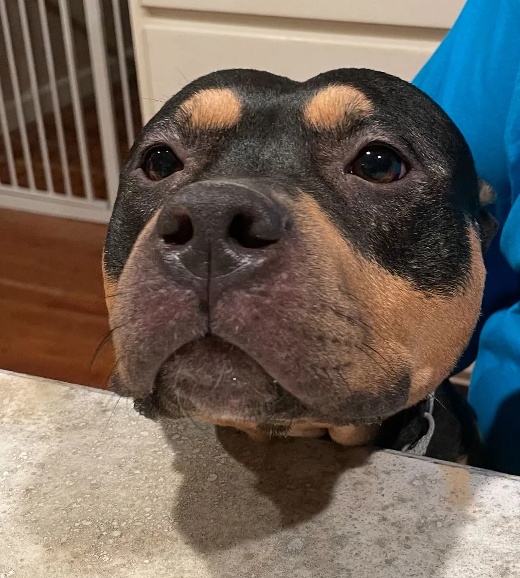 Maggie Moo - Photo 1