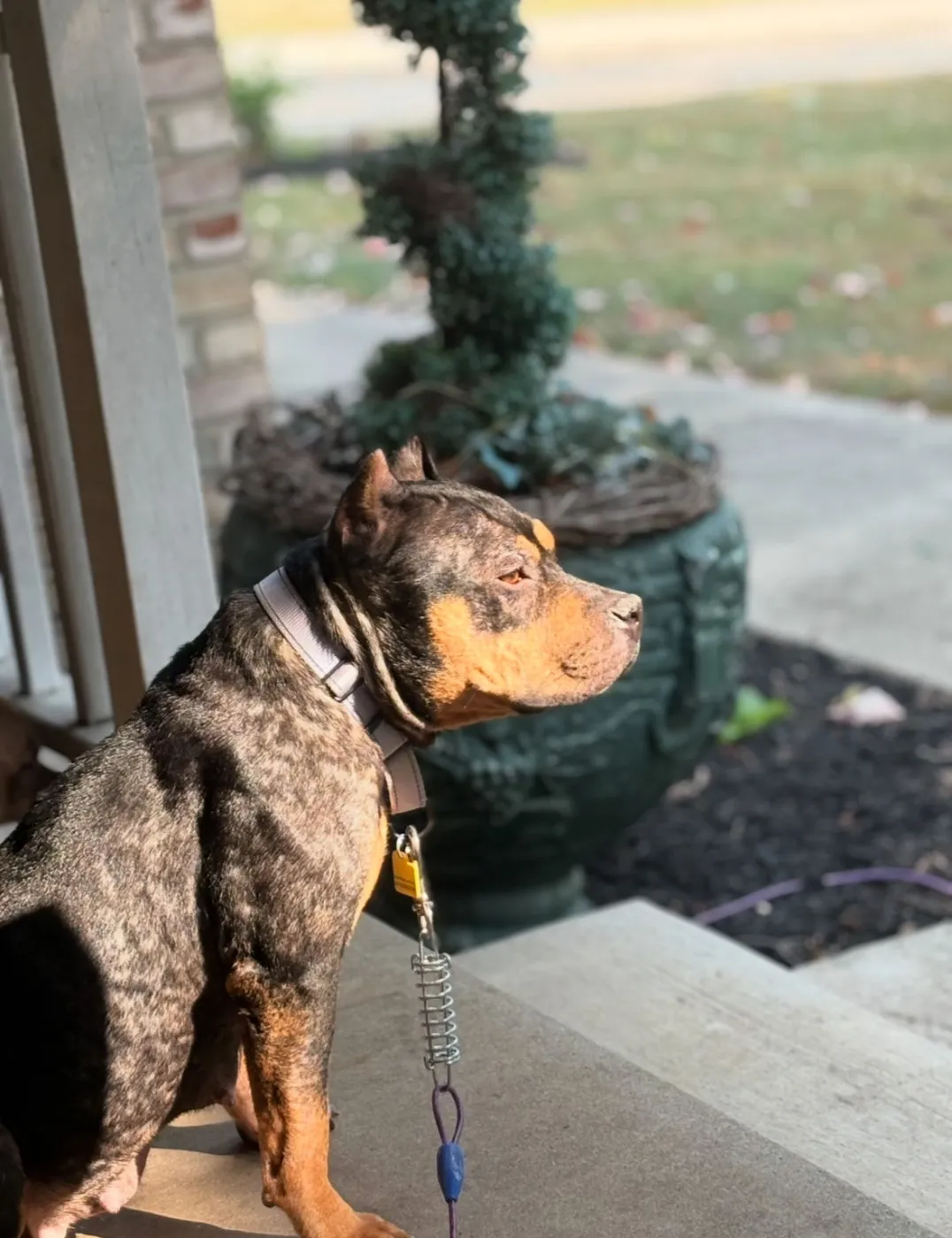 Maggie Moo - Photo 2