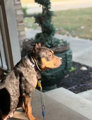 Maggie Moo thumbnail 2