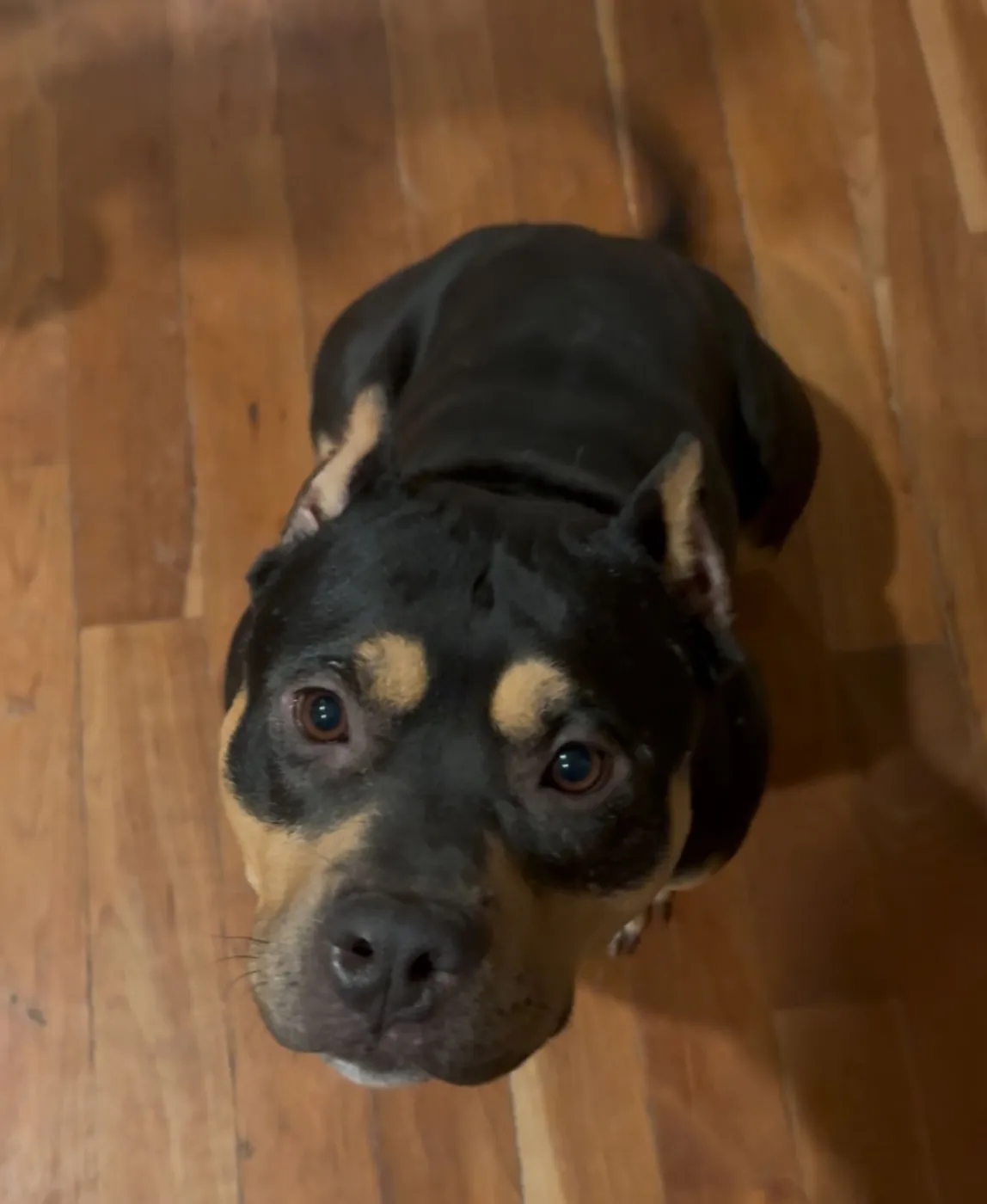 Maggie Moo - Photo 5