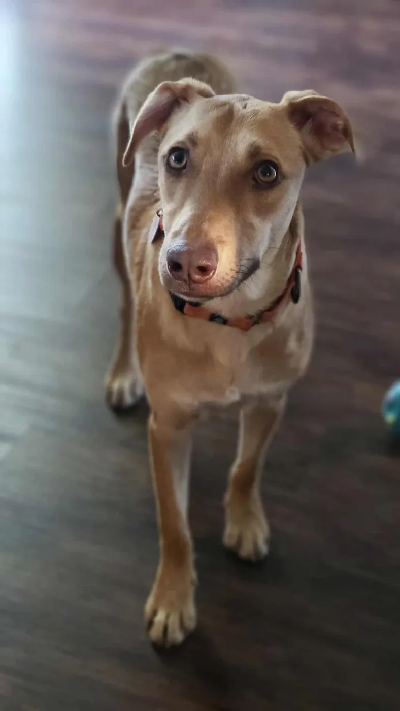 Bubble Gum - Photo 3