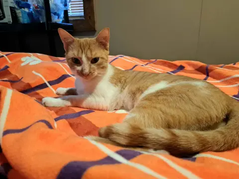 Neosporin thumbnail 3