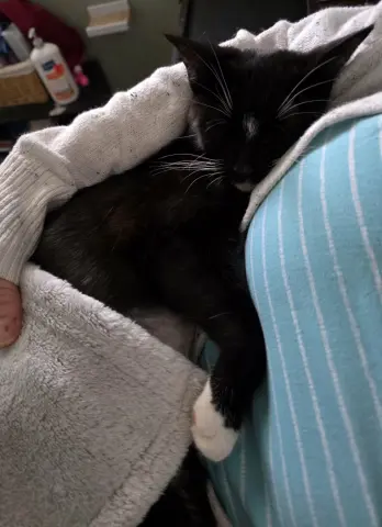 Mitochondria thumbnail 4