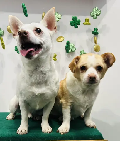 Casper and Tubbz thumbnail 2