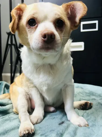 Casper and Tubbz thumbnail 3