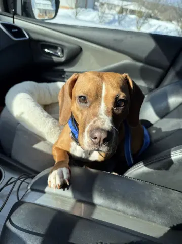 Holly Dae thumbnail 4