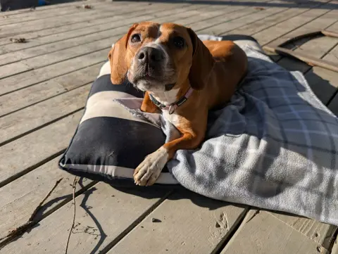 Holly Dae thumbnail 5