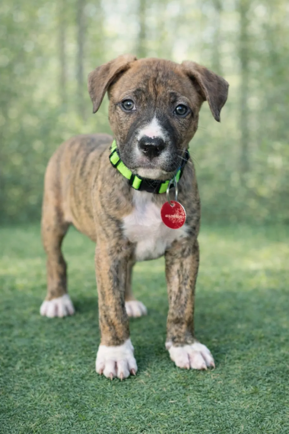 Washington - Photo 1