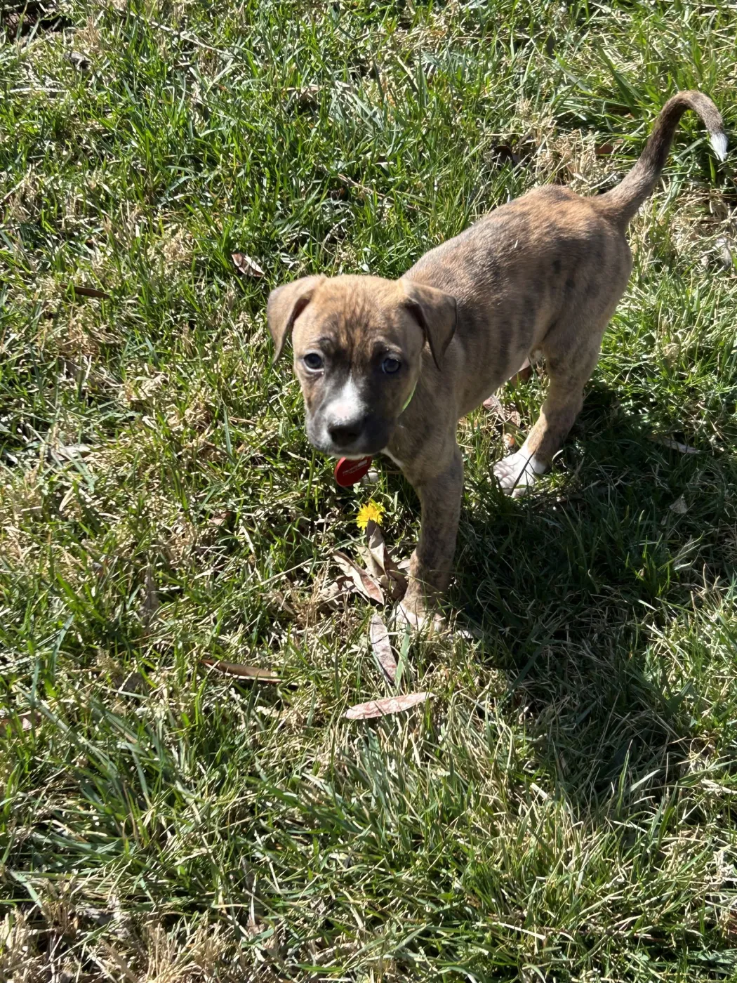 Washington - Photo 2