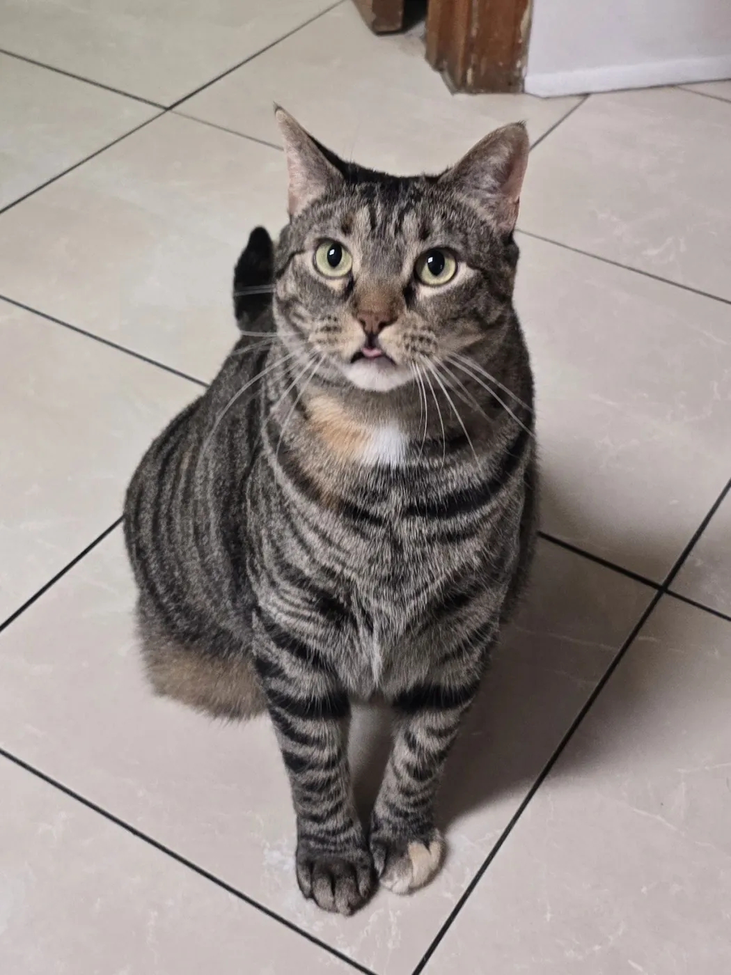 Dahlia & Ivy - Photo 2