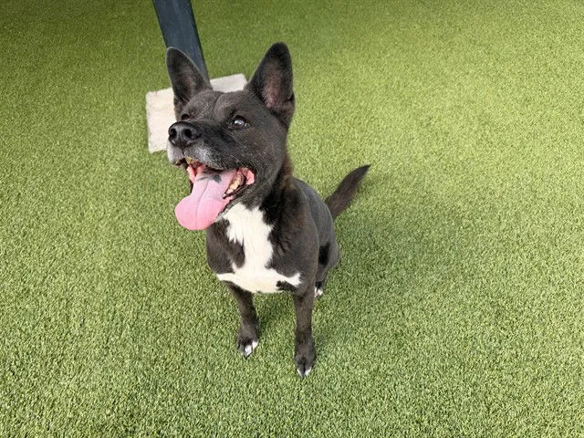 Winter Snowstorm - Photo 1