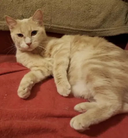 Charlotte thumbnail 2