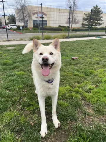 Wonderer thumbnail 2