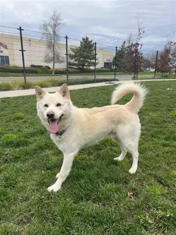 Wonderer thumbnail 4