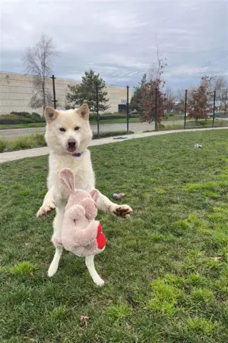 Wonderer thumbnail 5