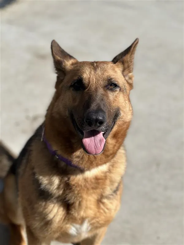 Clementine - Photo 5